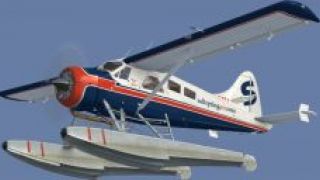 Screenshot 2 — BC Coastal Beaver Repaints
