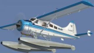 Screenshot 6 — BC Coastal Beaver Repaints