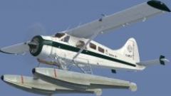 Screenshot 9 — BC Coastal Beaver Repaints