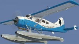 Screenshot 11 — BC Coastal Beaver Repaints
