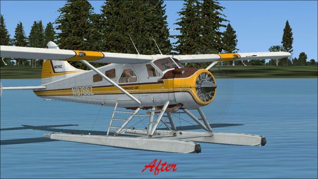 Screenshot 1 — Default DeHavilland Beaver DHC2 Blurred Texture Fix