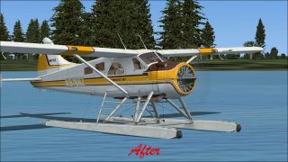 Screenshot 1 — Default DeHavilland Beaver DHC2 Blurred Texture Fix