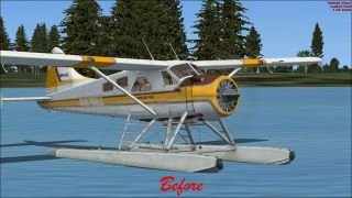 Screenshot 2 — Default DeHavilland Beaver DHC2 Blurred Texture Fix