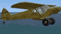 Screenshot 4 — Piper Super Cub 'Tiger'