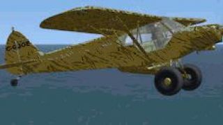 Screenshot 4 — Piper Super Cub 'Tiger'