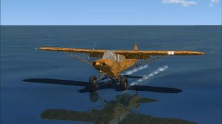 Screenshot 3 — Piper Super Cub 'Tiger'
