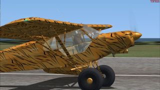 Screenshot 1 — Piper Super Cub 'Tiger'