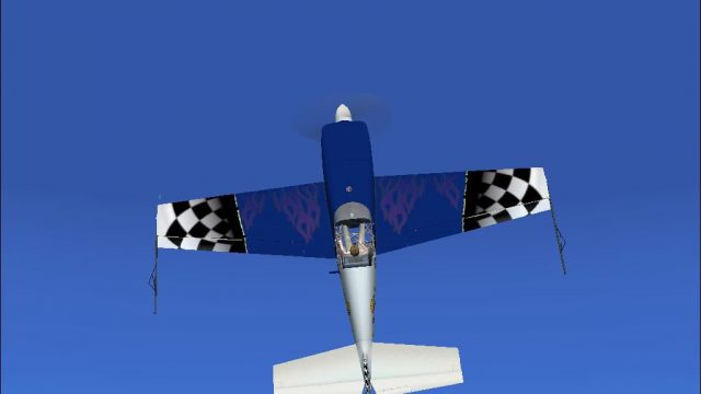Screenshot 1 — Extra 300S N300SX