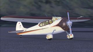 Screenshot 6 — &quot;Shakey Jake&quot; N2161C Panel And Paint