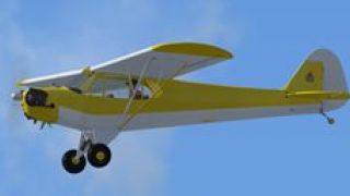 Screenshot 2 — Basic Color Piper J-3 Cubs