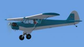 Screenshot 4 — Basic Color Piper J-3 Cubs
