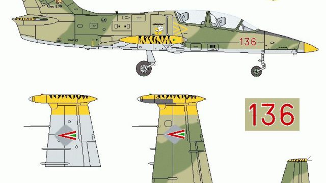 Screenshot 1 — Hungarian Air Force Aero L-39 Albatros