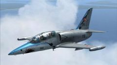 Screenshot 4 — HuAF L-39 Albatros Capeti II