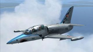 Screenshot 4 — HuAF L-39 Albatros Capeti II