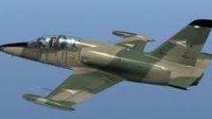 Screenshot 2 — Hungarian Air Force L-39 Albatros