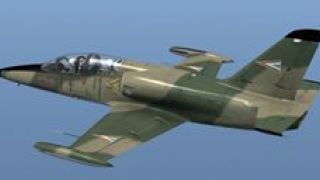Screenshot 2 — Hungarian Air Force L-39 Albatros
