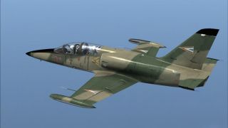 Screenshot 1 — Hungarian Air Force L-39 Albatros