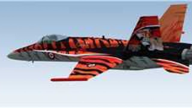Screenshot 1 — CAF Tiger Meet F/A-18C