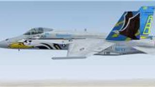 Screenshot 1 — US Navy F/A-18C Marauders