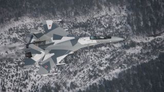 Screenshot 1 — Russian Air Force Su-35 902