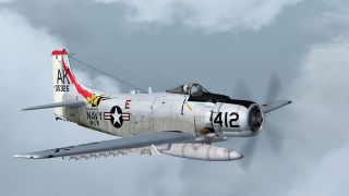 Screenshot 2 — US Navy Douglas A-1H Skyraider VA-176