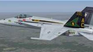 Screenshot 1 — US Navy F/A-18C Gunslingers CAG