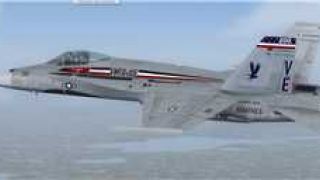 Screenshot 4 — US Marines F/A-18C Silver Eagles CAG