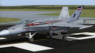Screenshot 2 — US Marines F/A-18C Silver Eagles CAG