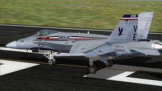 Screenshot 1 — US Marines F/A-18C Silver Eagles CAG