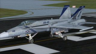 Screenshot 1 — US Navy F/A-18C Pukin' Dogs CAG