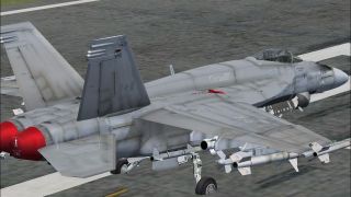 Screenshot 29 — CAF F/A-18