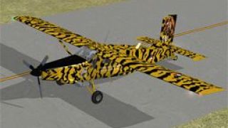 Screenshot 4 — KLU PC-6C NATO Tiger Meet 2010
