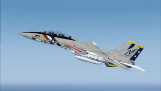 Screenshot 3 — US Navy Grumman F-14A Tomcat VF-2