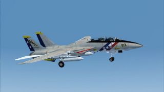 Screenshot 6 — US Navy Grumman F-14A Tomcat VF-2