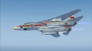 Screenshot 2 — US Navy Grumman F-14A VF-1