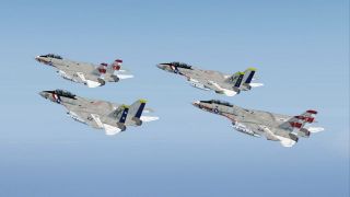 Screenshot 4 — US Navy Grumman F-14A VF-1