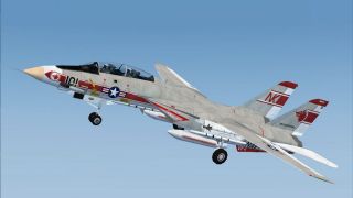 Screenshot 1 — US Navy Grumman F-14A VF-1