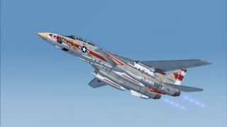 Screenshot 5 — US Navy Grumman F-14A VF-1