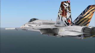 Screenshot 11 — F/A-18C HaniMod