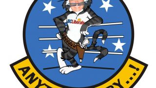 Screenshot 3 — F-14B ChristyCat