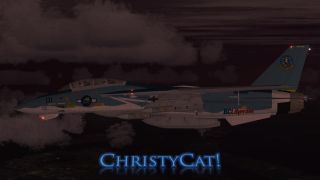 Screenshot 7 — F-14B ChristyCat