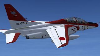 Screenshot 14 — Kawasaki T-4 Exterior