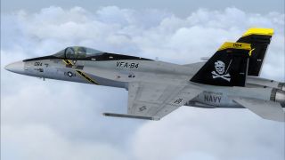 Screenshot 2 — US Navy F/A-18C Jolly Rogers CAG
