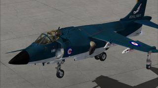 Screenshot 1 — BAe Sea Harrier FRS1