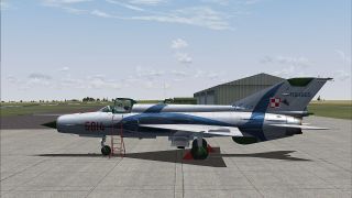 Screenshot 1 — MiG-21MF '6814 Red'