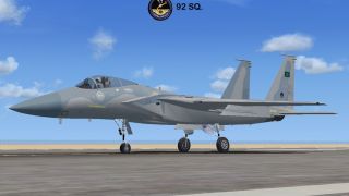 Screenshot 21 — Royal Saudi Air Force F-15S