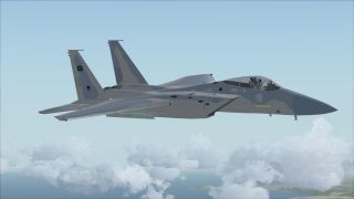 Screenshot 19 — Royal Saudi Air Force F-15S