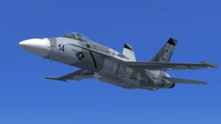 Screenshot 1 — US Navy FA-18 Hornet Omars Grey