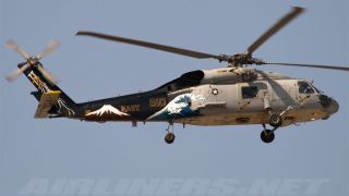 Screenshot 2 — US Navy Sikorsky SH-60 Seahawk 610
