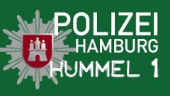 Screenshot 4 — Bell 412 "Polizei Hamburg"